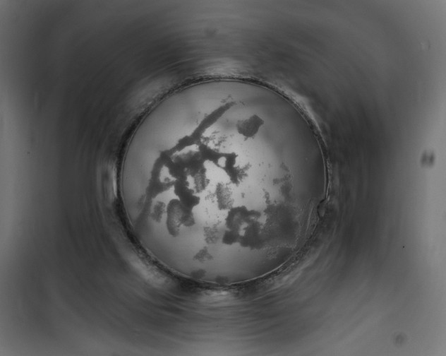 X0000100470061200806201616