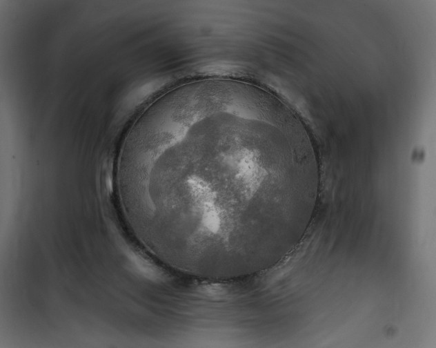 X0000100470062200806201616