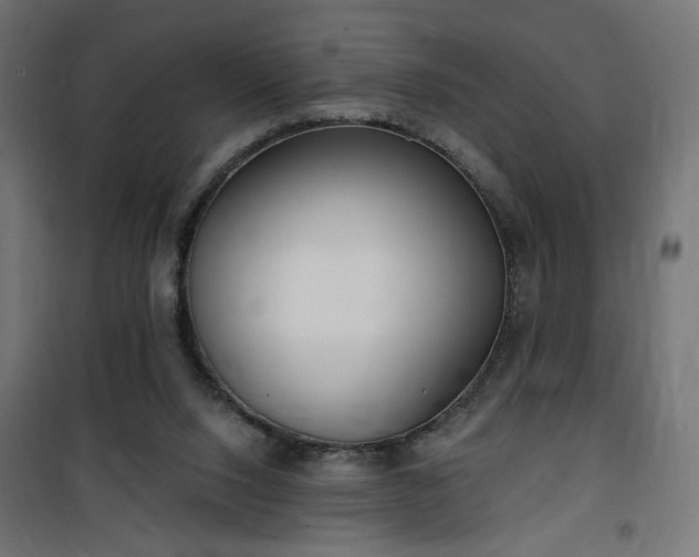 X0000100470064200806201616