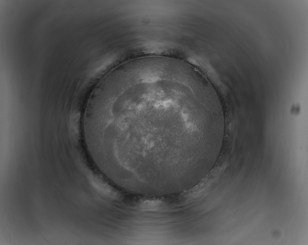 X0000100470066200806201616