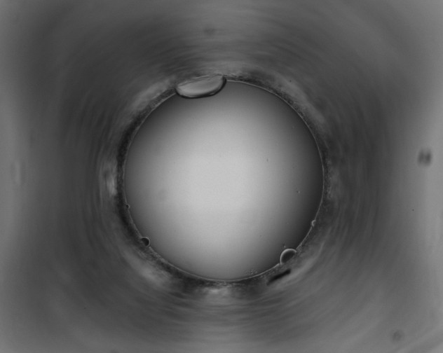 X0000100470068200806201616