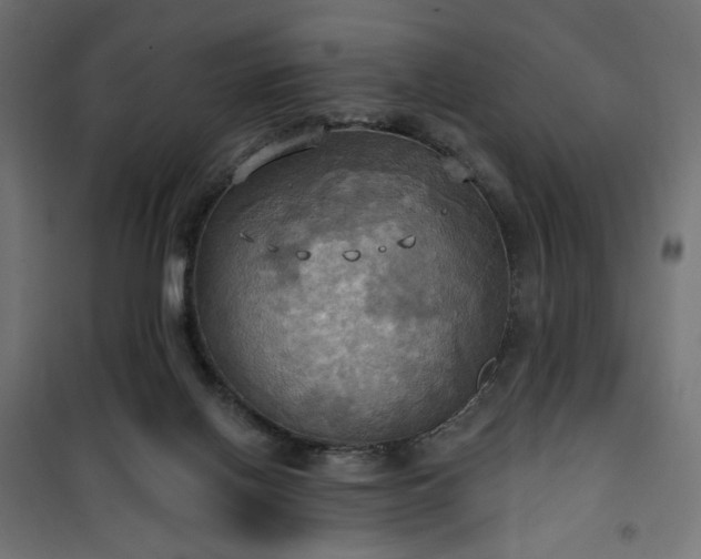 X0000100470070200806201616