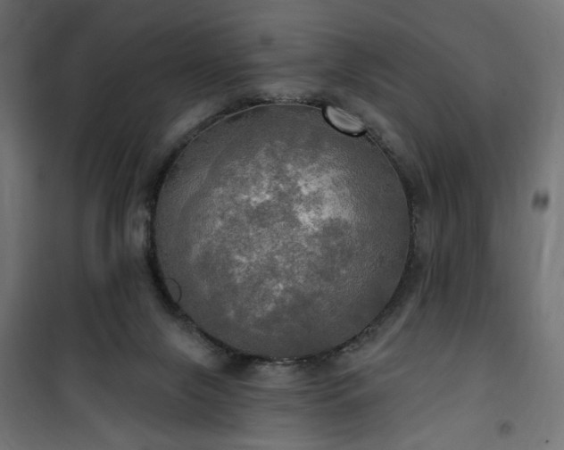 X0000100470071200806201616