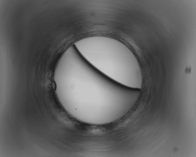 X0000100470073200806201616