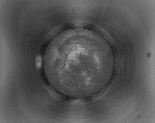 X0000100470075200806201616