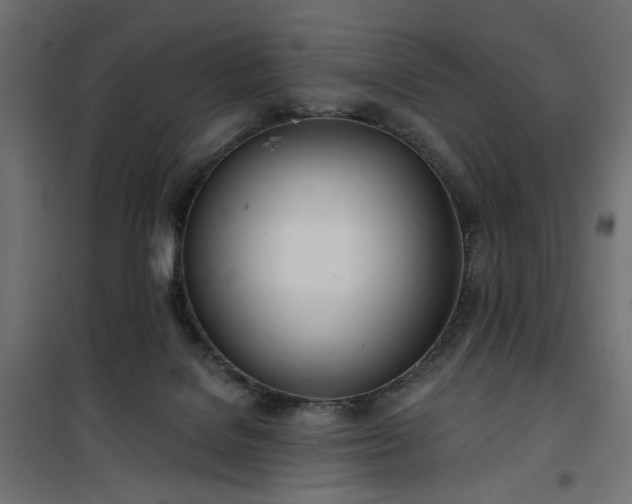 X0000100470076200806201616