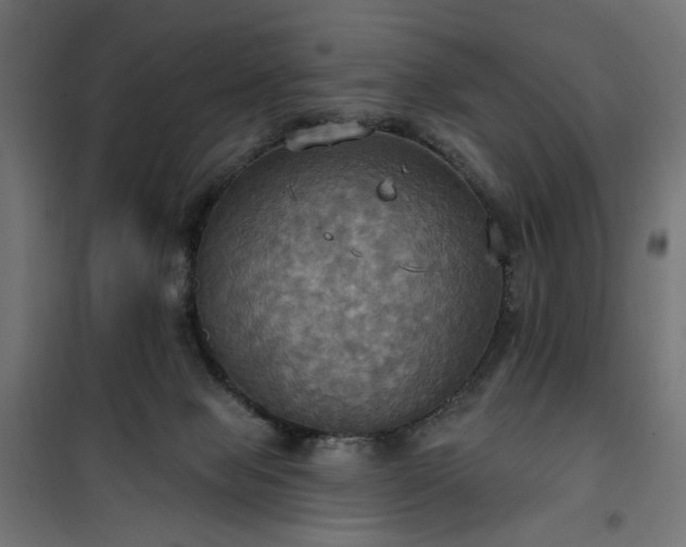 X0000100470077200806201616