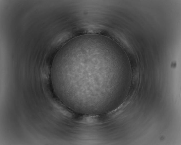 X0000100470078200806201616