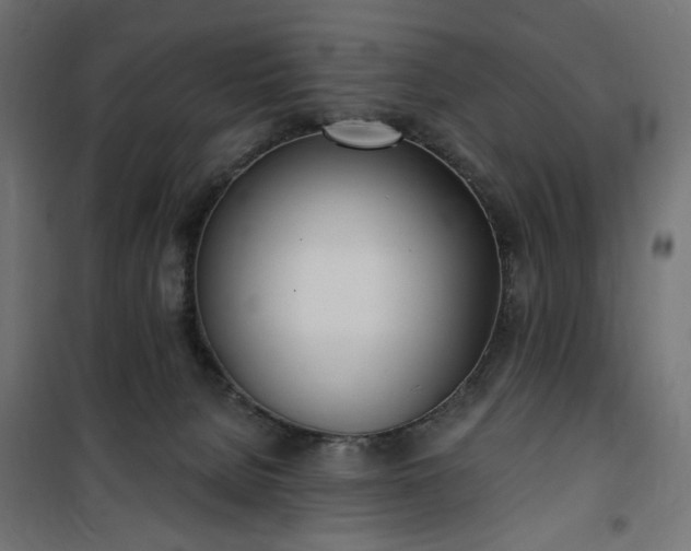 X0000100470080200806201616