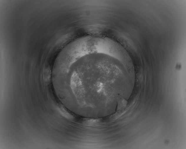 X0000100470081200806201616