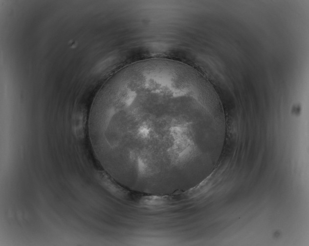 X0000100470082200806201616