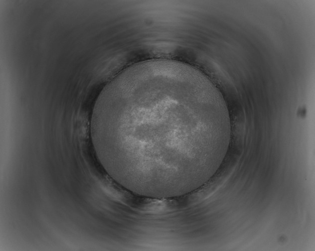 X0000100470083200806201616