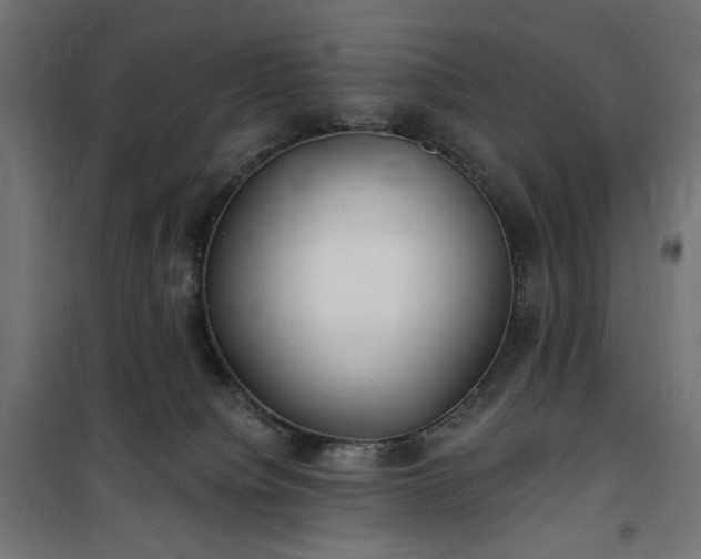 X0000100470084200806201616