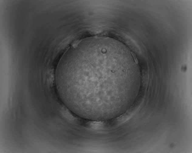 X0000100470085200806201616