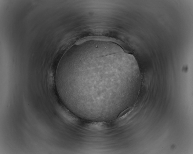 X0000100470086200806201616