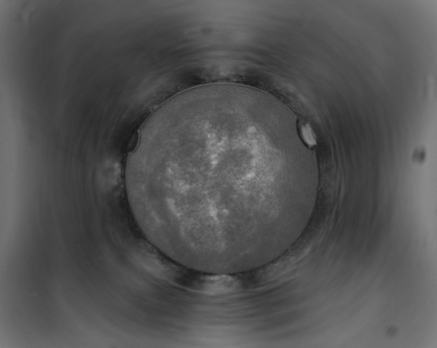 X0000100470087200806201616