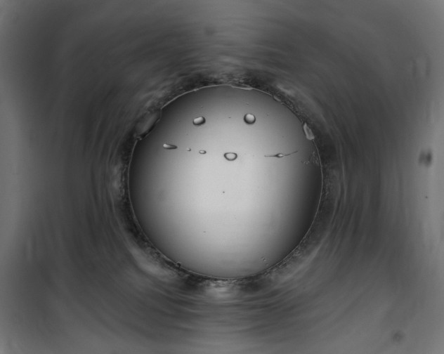 X0000100470088200806201616