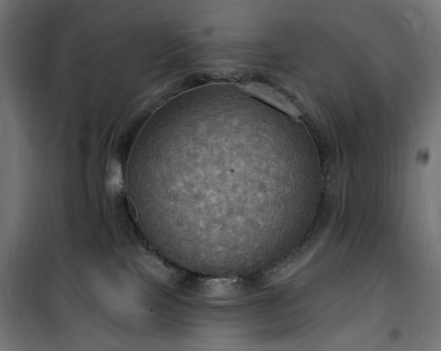 X0000100470089200806201616