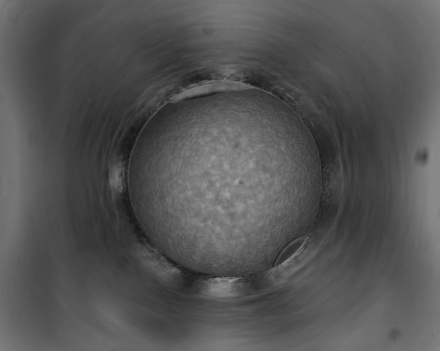 X0000100470090200806201616