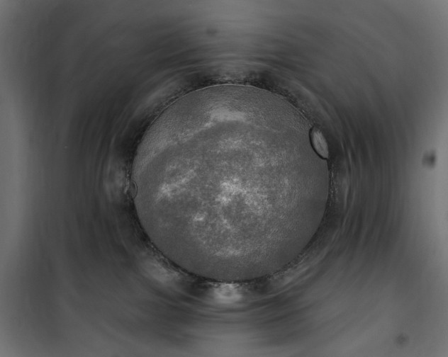 X0000100470091200806201616