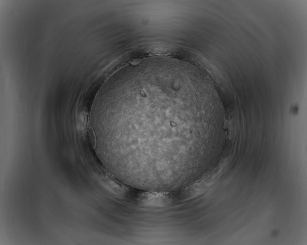 X0000100470093200806201616