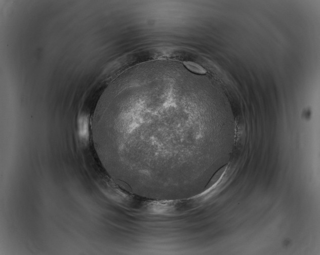 X0000100470094200806201616