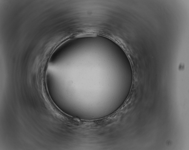 X0000100470097200806201615