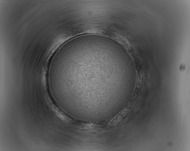 X0000100470098200806201615