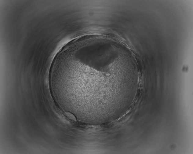 X0000100470099200806201615