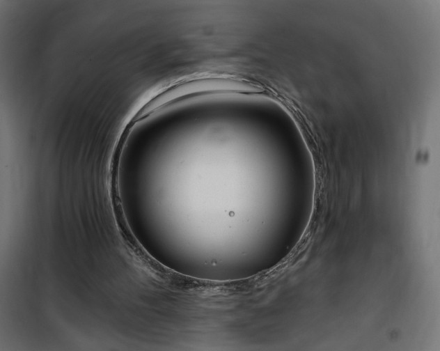 X0000100470100200806201615