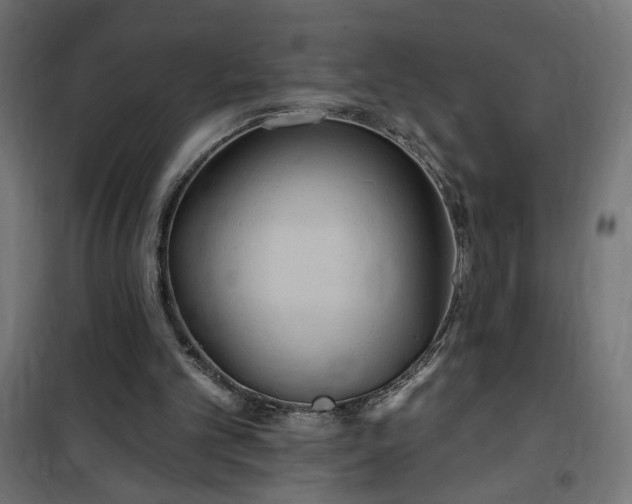 X0000100470101200806201615