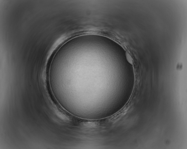 X0000100470102200806201615