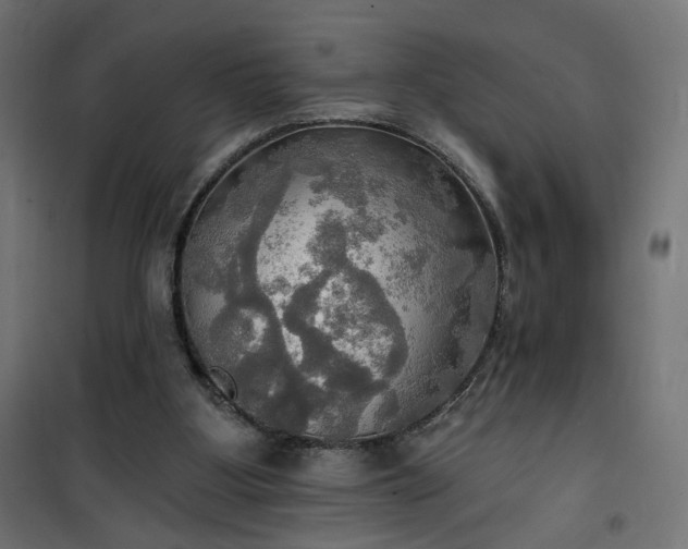 X0000100470107200806201615