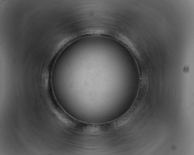 X0000100470110200806201615