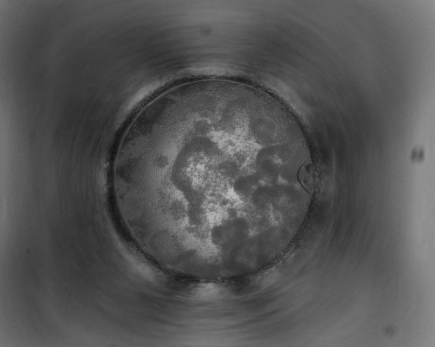 X0000100470111200806201615