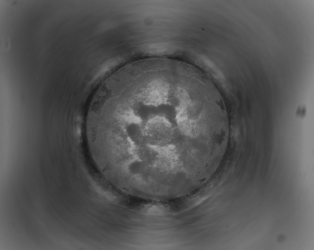 X0000100470115200806201615