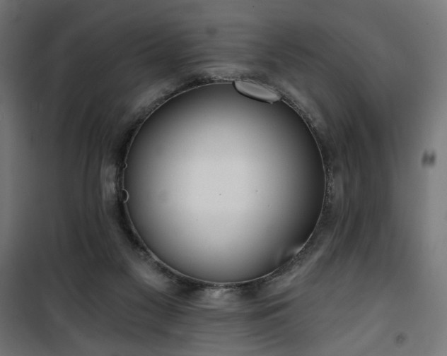 X0000100470117200806201615