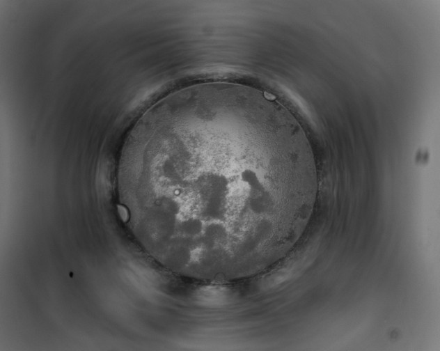 X0000100470119200806201615