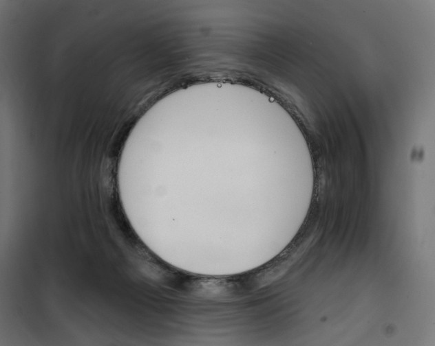 X0000100470121200806201615