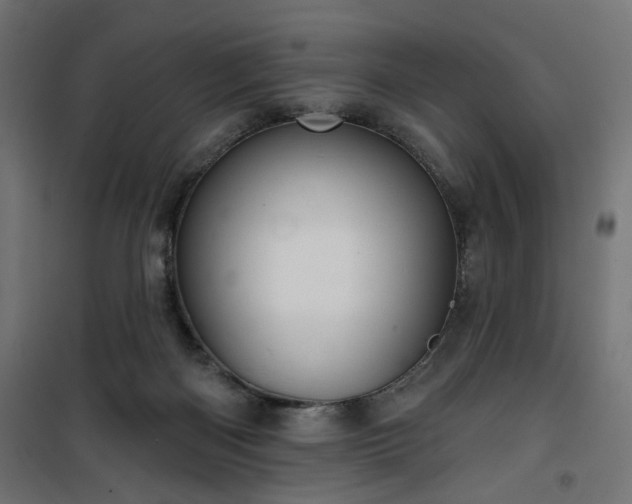 X0000100470122200806201615