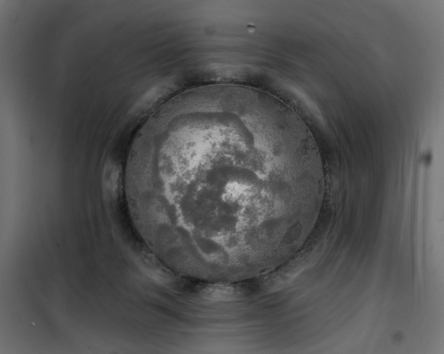 X0000100470123200806201615