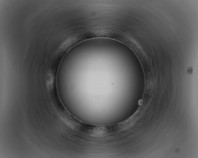 X0000100470124200806201615