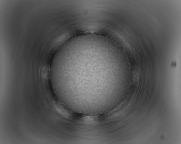 X0000100470126200806201615