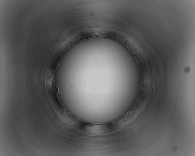 X0000100470129200806201615