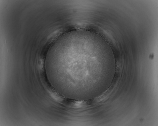 X0000100470130200806201615