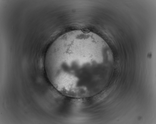 X0000100470131200806201615