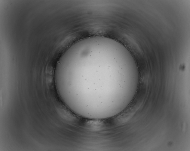 X0000100470133200806201615