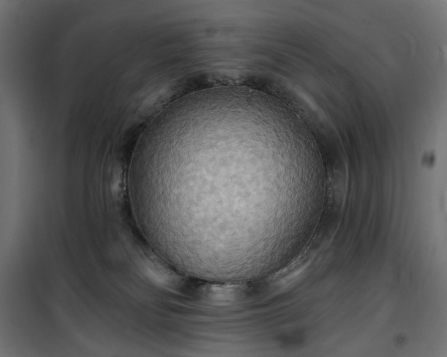 X0000100470134200806201615