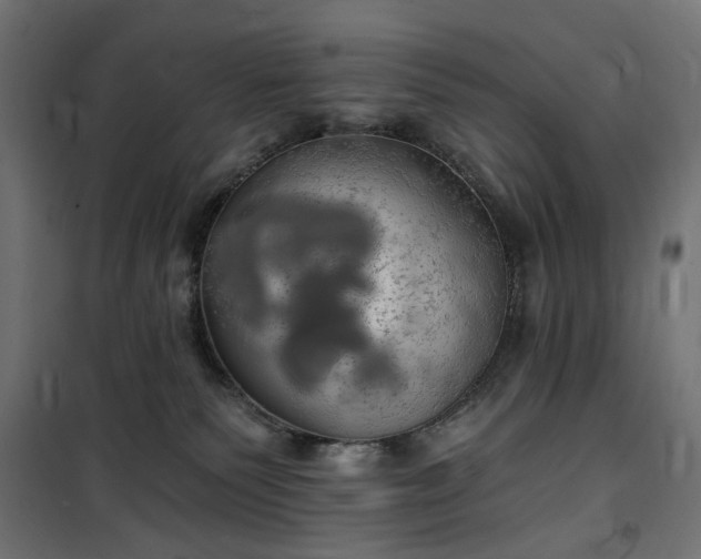 X0000100470135200806201615