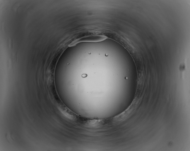 X0000100470136200806201615